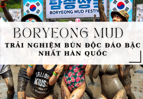 Boryeong Mud Festival – Trải Nghiệm Bùn Độc Đáo Bậc Nhất Hàn Quốc